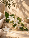 Jasmin